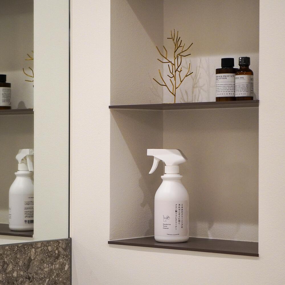 Citric acid toilet cleaner that works on stains and odors